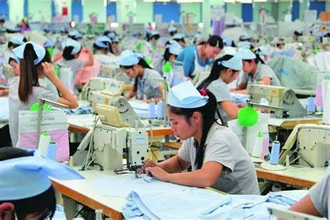 Kiểm tra chất lượng (QC)