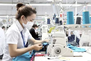 Thị trường may mặc hiện nay